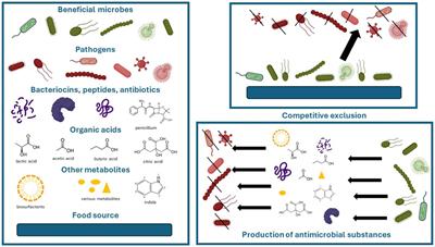 A critical assessment of microbial-based antimicrobial sanitizing of inanimate surfaces in healthcare settings